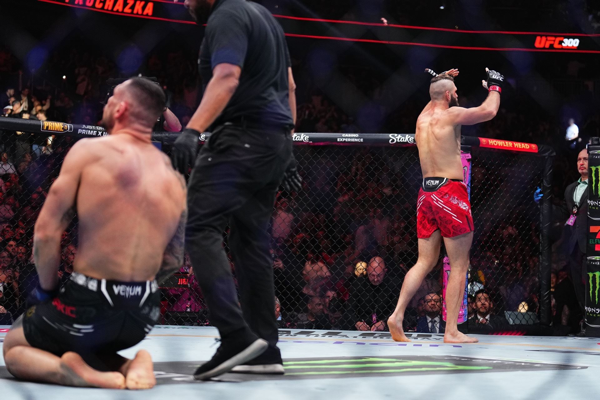 Jiří Procházka slaví další výhru v UFC.