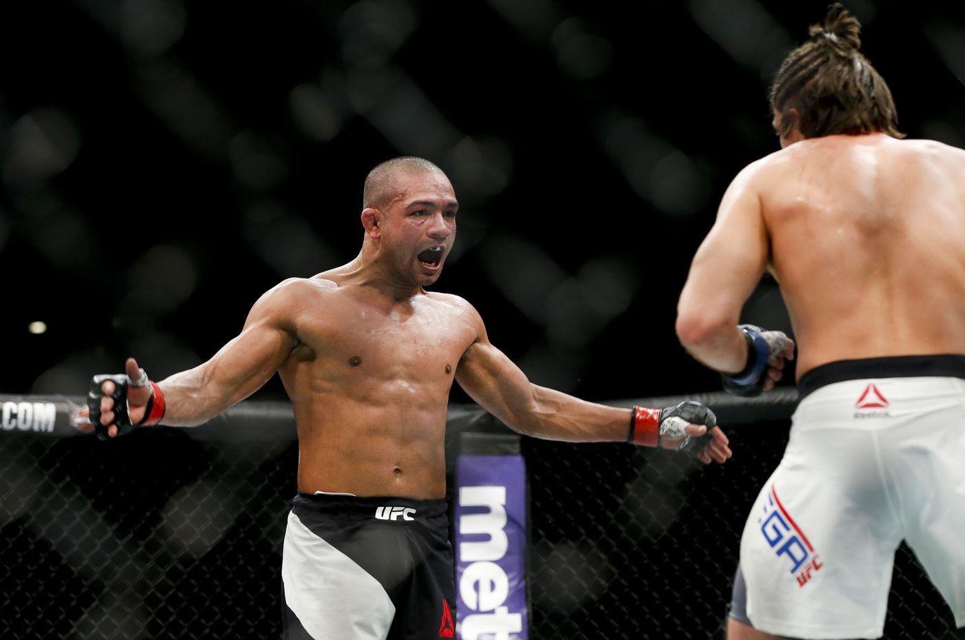 Diego Brandao v UFC a rok 2016.